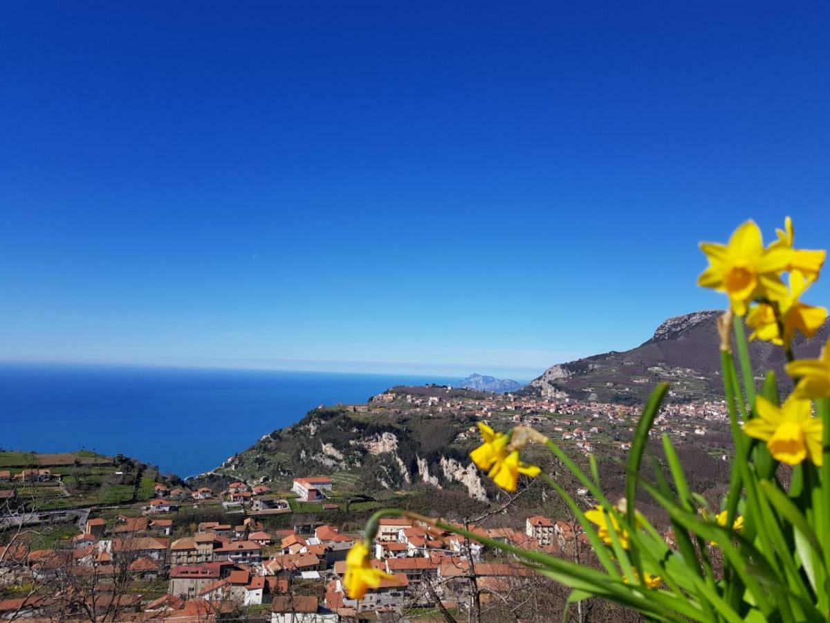 B&B Villa Reginella Agerola Exterior photo